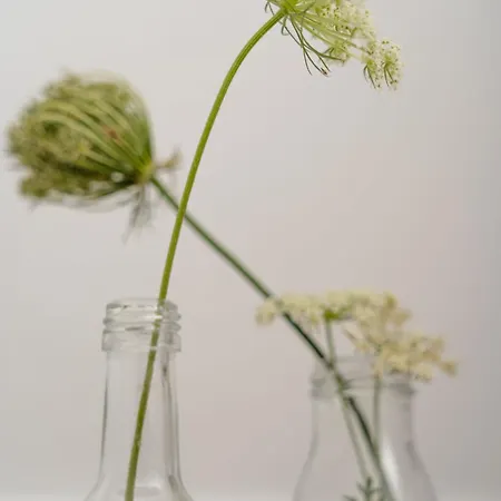 بيت للعطل Azur *