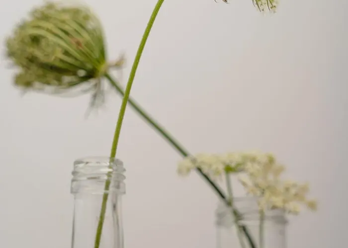 Dom wakacyjny Azur *